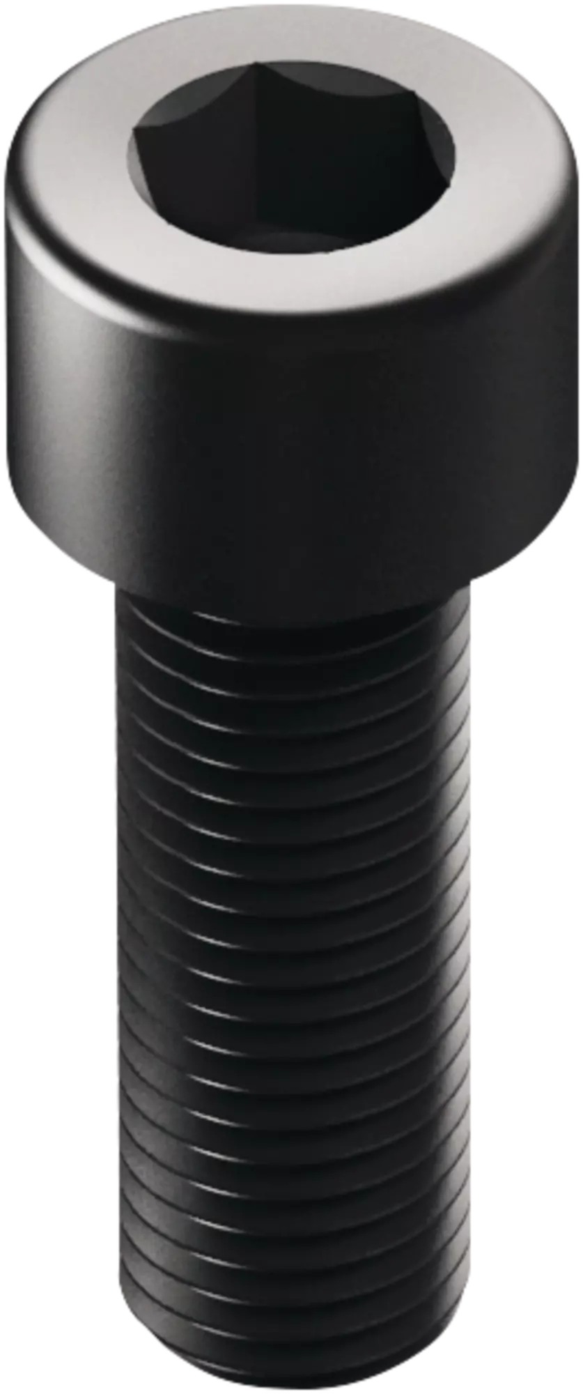 SCHUNK Hexagon socket cylindrical screw — representative manufacturer illustration