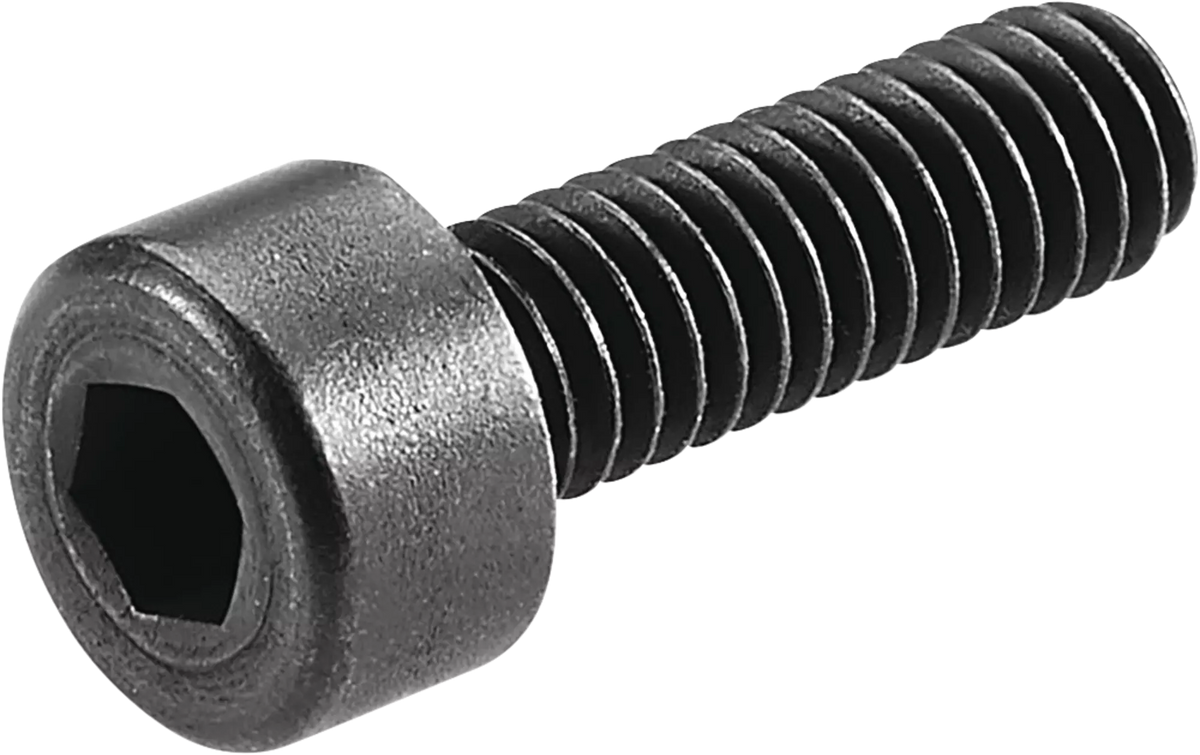 SCHUNK Screw for face mill arbor — representative manufacturer illustration