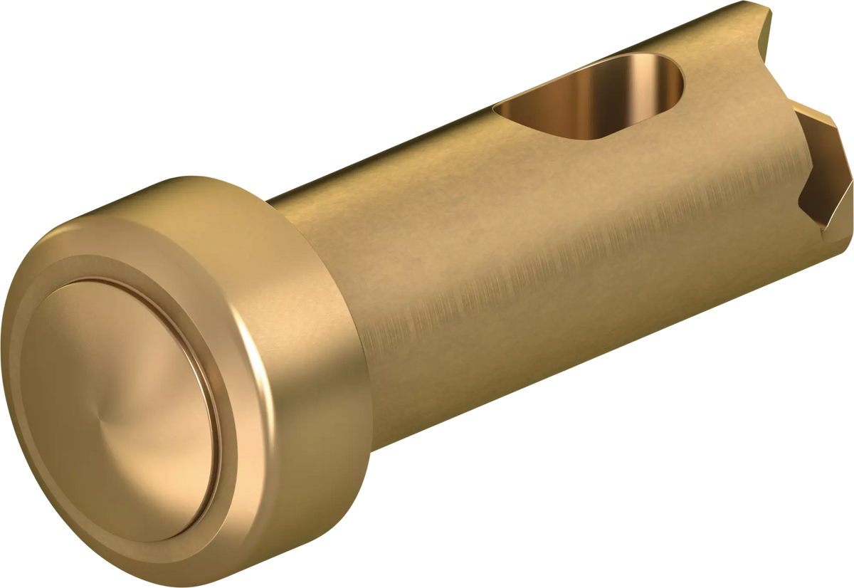 SCHUNK Pressure bolt — representative manufacturer illustration