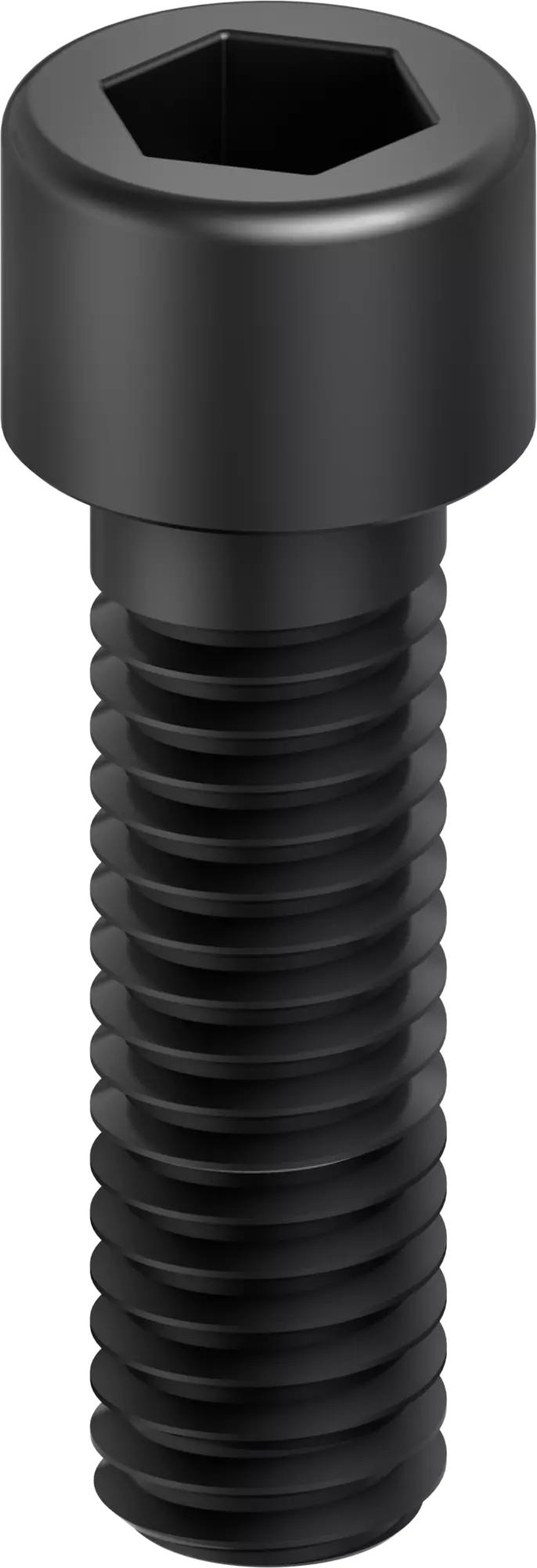 SCHUNK Screws — representative manufacturer illustration