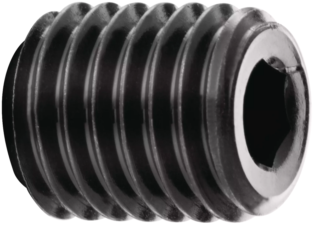 SCHUNK Clamping screw for WELDON — representative manufacturer illustration